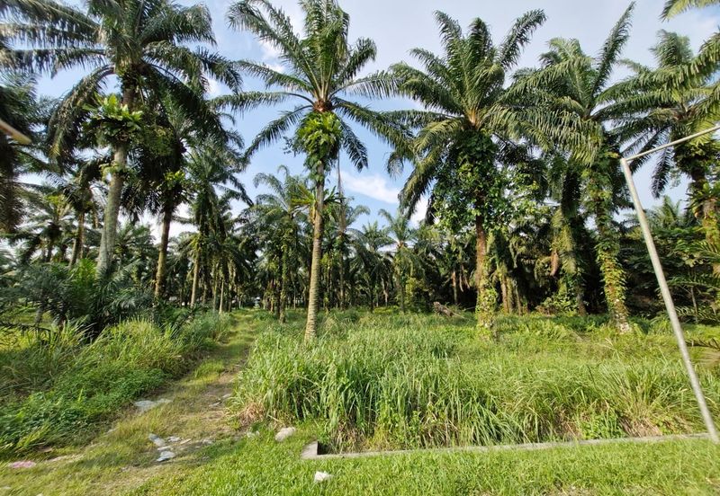 JERAM BATU PEKAN NENAS
