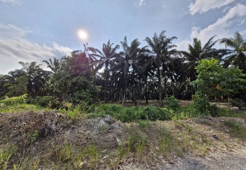 JERAM BATU PEKAN NENAS