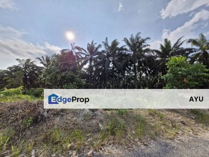 JERAM BATU PEKAN NENAS 7.38 Acres Agricultural Land, Johor, Pontian