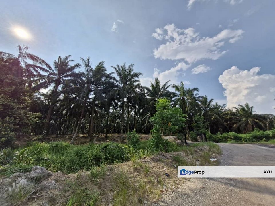 JERAM BATU PEKAN NENAS 7.38 Acres Agricultural Land, Johor, Pontian