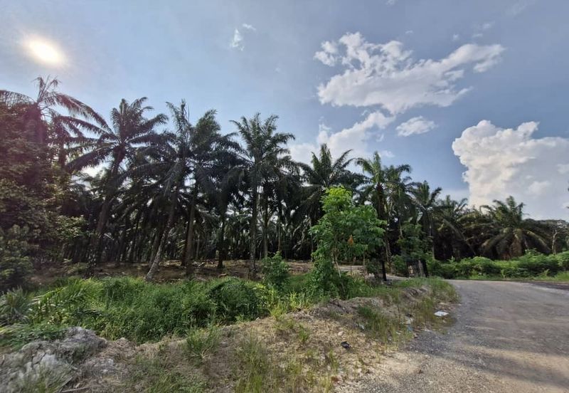 JERAM BATU PEKAN NENAS