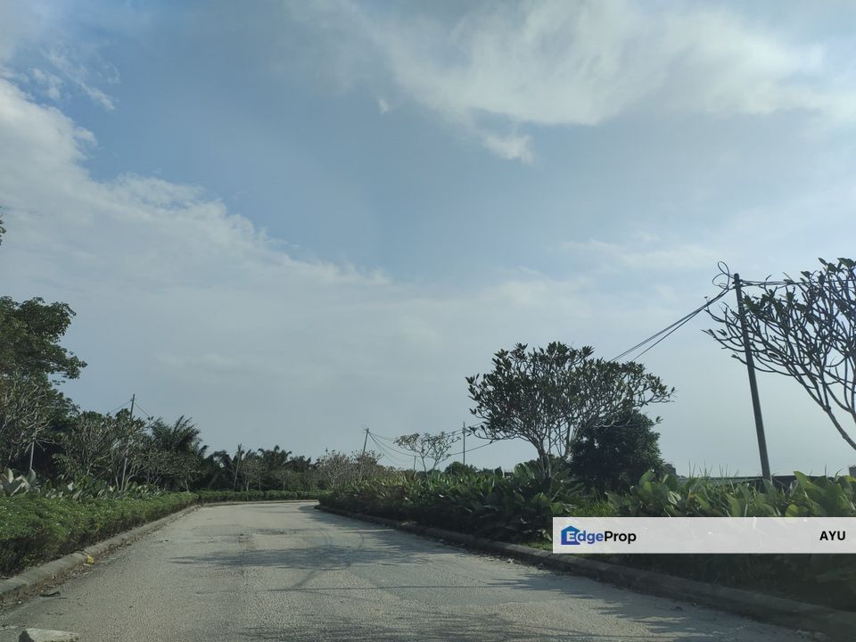 JERAM BATU PEKAN NENAS Ulu Pulai Agricultural Land 2 Adjoining Unit, Johor, Pontian