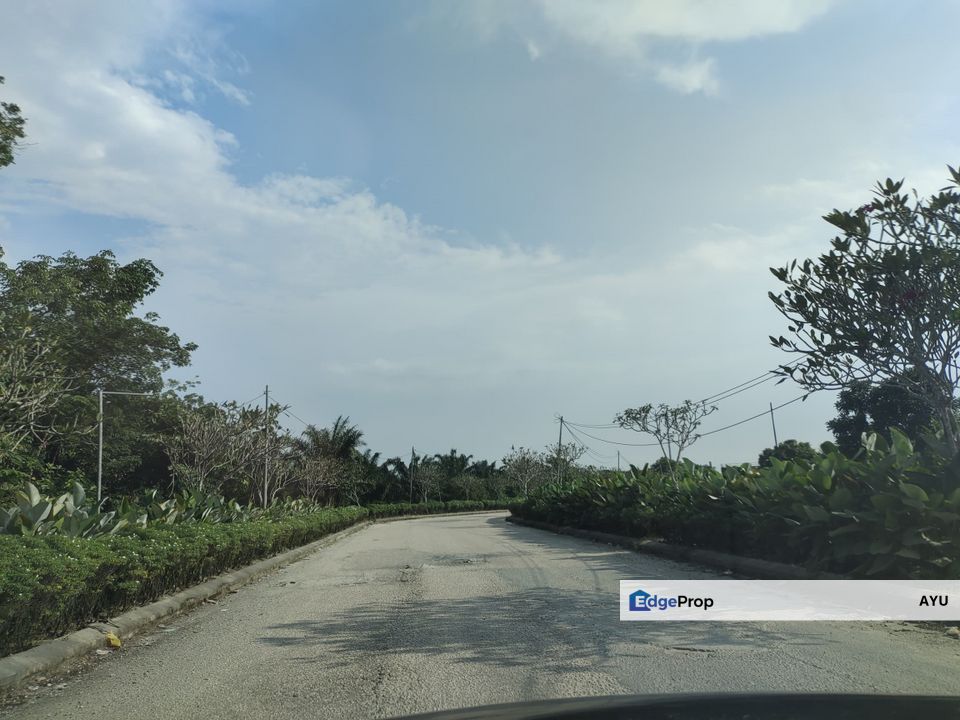 JERAM BATU PEKAN NENAS Ulu Pulai Agricultural Land 2 Adjoining Unit, Johor, Pontian