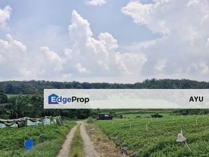 Kempas Lama Agricultural Land, Johor, Johor Bahru
