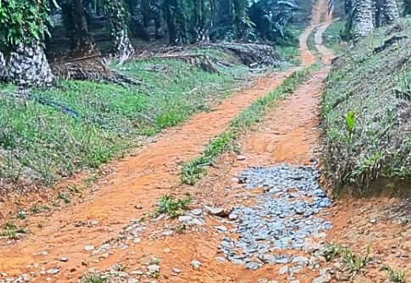 200k per acres Johor Kulai / Senai 8 Acres Palm Oil Land for Sale 