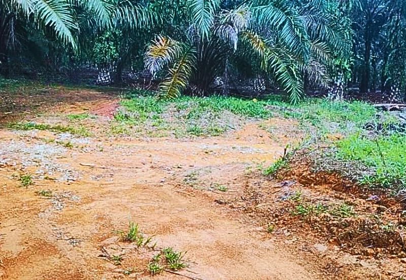 200k per acres Johor Kulai / Senai 8 Acres Palm Oil Land for Sale 