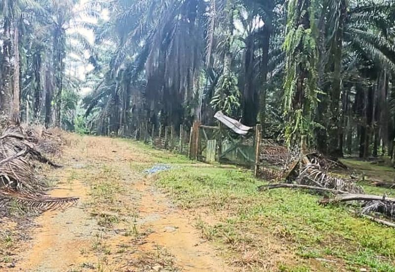 200k per acres Johor Kulai / Senai 8 Acres Palm Oil Land for Sale 