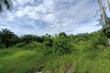 Johor Pontian Agriculture Land for Sale near Kukup, Pekan Nanas