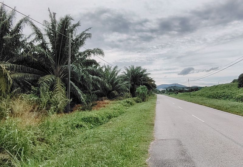 Batu pahat minyak beku