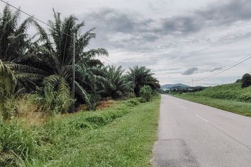 Batu pahat minyak beku