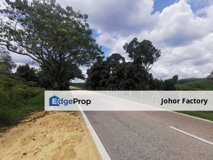 Segamat Tebing Tinggi Land For Sale, Johor, Segamat