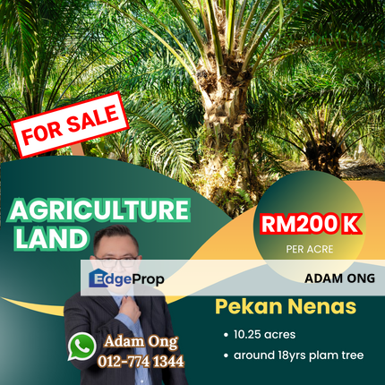 Taman Perindustrian Pekan Nenas,Pekan Nanas (Pekan Nenas),/johor land for sale, Johor, Pekan Nanas (Pekan Nenas)