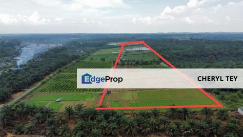 Jalan Sungai Tiram Johor Agriculture Land For Sale, Johor, Ulu Tiram