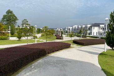 Mellowood @ Eco Majestic