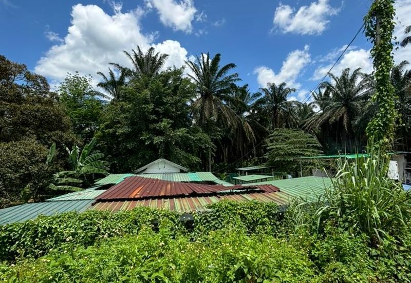 Broga Agricultural Land in Selangor for SALE