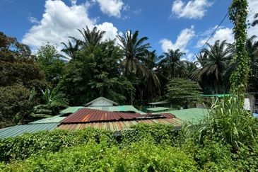 Broga Agricultural Land in Selangor for SALE