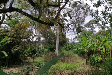 Agricultural Land in Broga, Semenyih for Sale