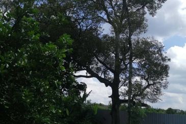 Agricultural Land in Broga, Semenyih for Sale