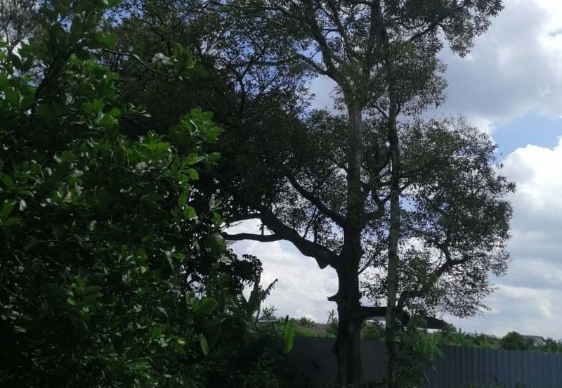 Agricultural Land in Broga, Semenyih for Sale