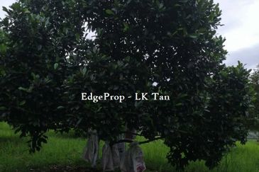 Broga Lenggeng Agricultural  Land for Sale