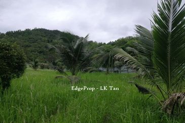 Broga Lenggeng Agricultural  Land for Sale