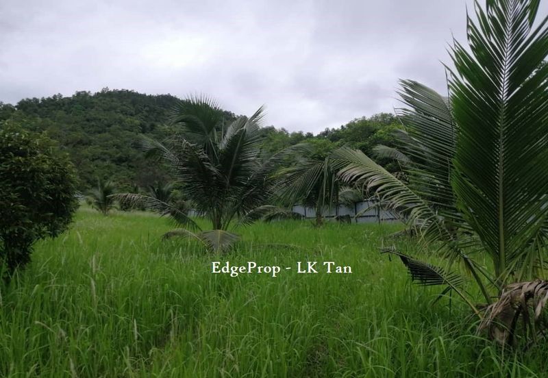Broga Lenggeng Agricultural  Land for Sale