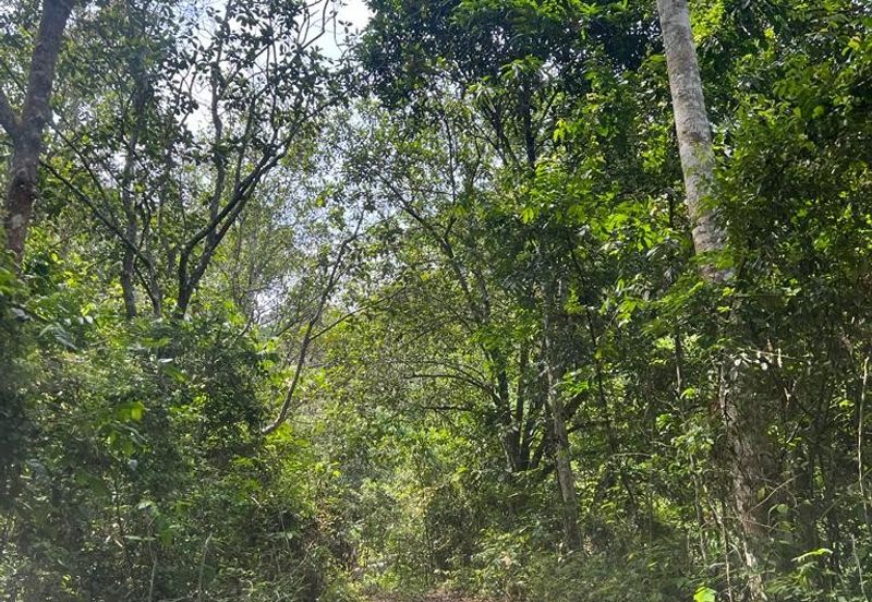 Mukim Ampangan  Agricultural Land @ Seremban