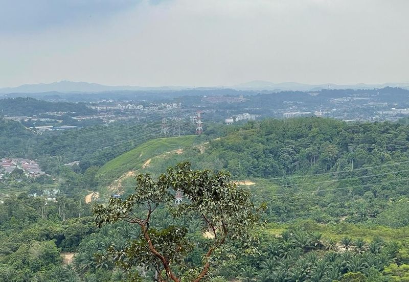 Mukim Ampangan  Agricultural Land @ Seremban