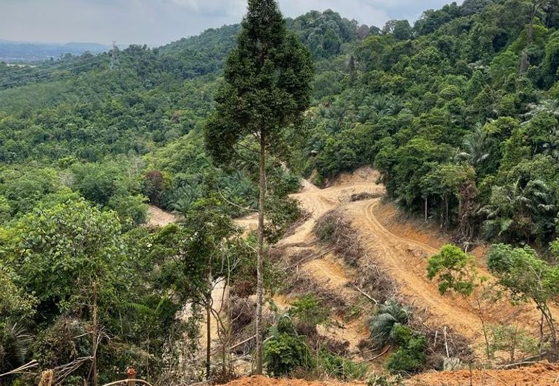 Mukim Ampangan  Agricultural Land @ Seremban