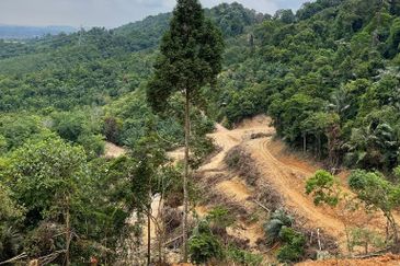 Mukim Ampangan  Agricultural Land @ Seremban