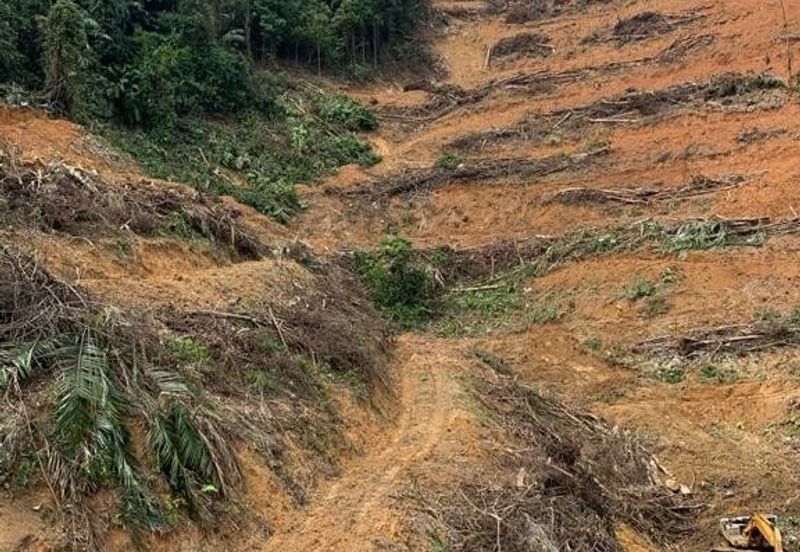 Mukim Ampangan  Agricultural Land @ Seremban