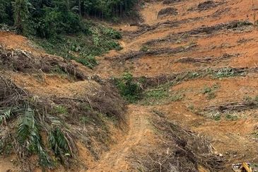 Mukim Ampangan  Agricultural Land @ Seremban