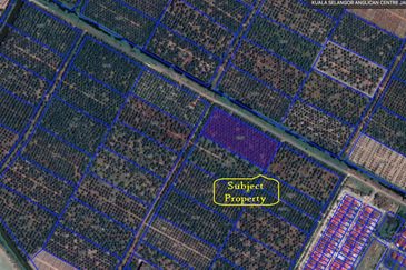 Sungai Yu Agricultural Land @ Kuala Selangor