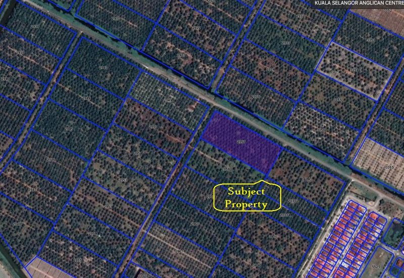 Sungai Yu Agricultural Land @ Kuala Selangor