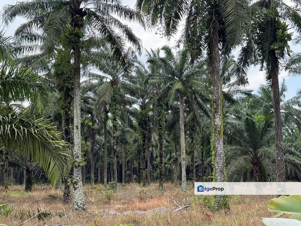 Ulu Tiram Jeram Batu @ Gelang Patah Ulus Tirams Jerams Batus @ Gelangs Patahs, Johor, Gelang Patah