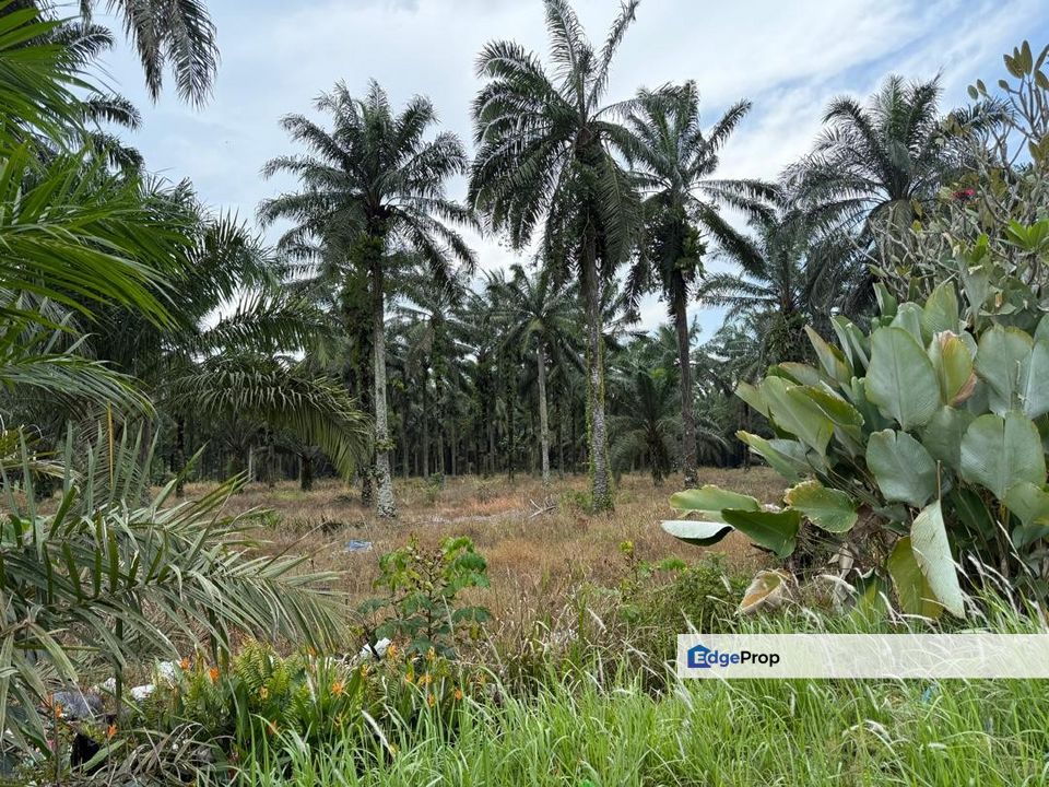 Ulu Tiram Jeram Batu @ Gelang Patah Ulus Tirams Jerams Batus @ Gelangs Patahs, Johor, Gelang Patah
