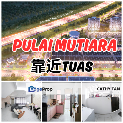 BUMI Lot 靠近 Tuas 最近旺起来了 Taman Pulai Mutiara 排楼出售🔥Jasmine, Johor, Johor Bahru