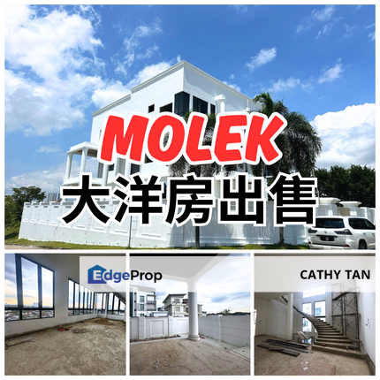 Molek Ponderosa 超大款独立式洋房 Bungalow 出售🔥, Johor, Johor Bahru