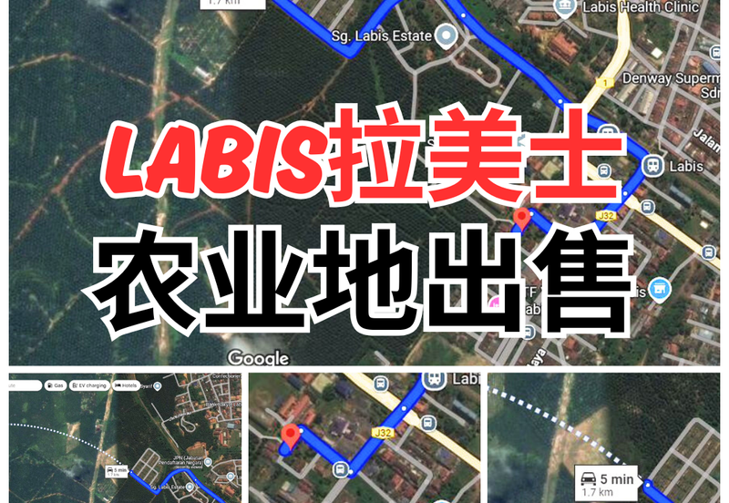 Oil Palm Land @ Labis