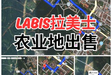 Oil Palm Land @ Labis