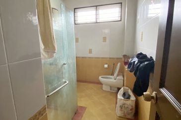 Stulang Laut / Darat