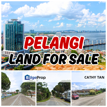 JB Town 新山坡底 5km 到 CIQ 稀有地皮出售🔥Taman Pelangi 彩虹公园 Bungalow Land, Johor, Johor Bahru