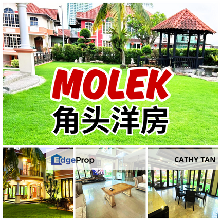 世外桃源 Molek 角头超美3层半独立式洋房出售😍保养设计美美的绿院子🔥Fully Extend 屋子照顾良好, Johor, Johor Bahru