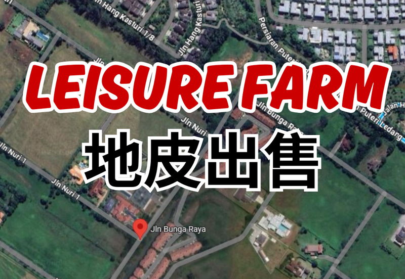 Leisure Farm