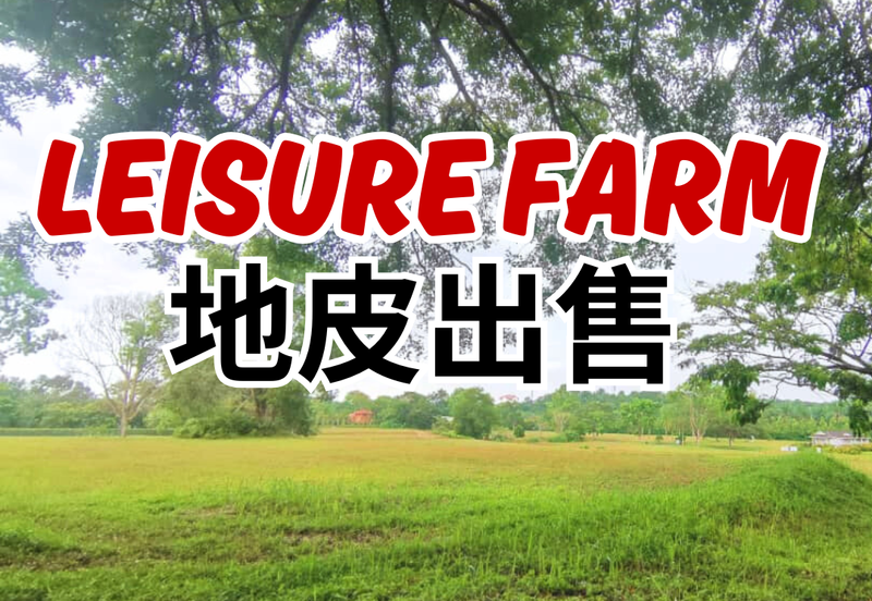 Leisure Farm