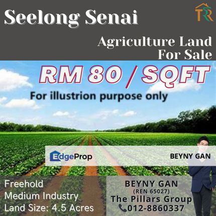 (Seelong, Senai) Agriculture Land, Johor, Senai