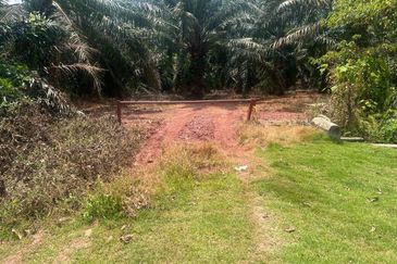 Kota Tinggi Agriculture Land 8 Acres Freehold 