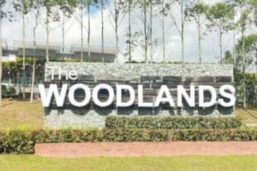 The Woodlands