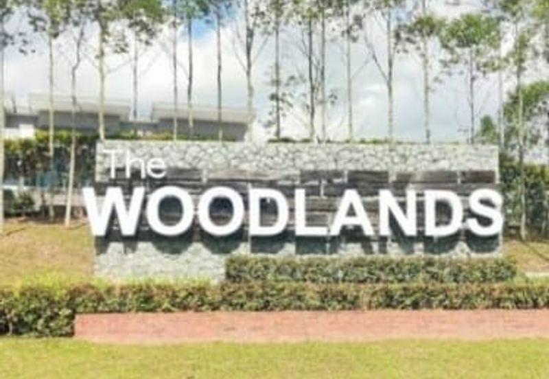 The Woodlands