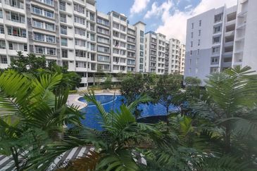 Midori Green @ Austin Heights